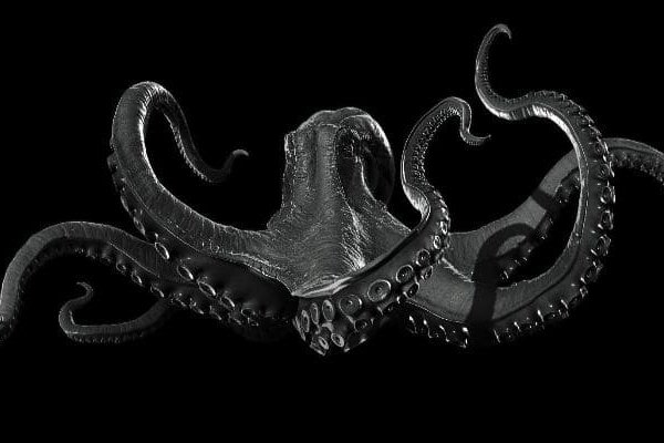 Kraken hydra