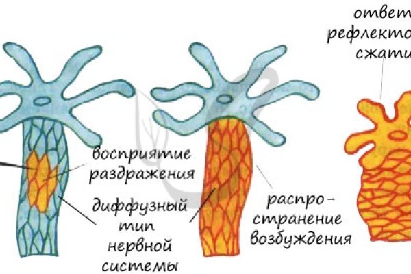 Кракен 12 at